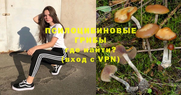 apvp Алзамай