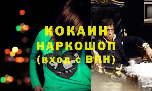 apvp Алзамай