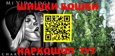 прущие грибы Новозыбков