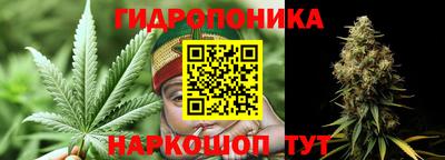 прущие грибы Новозыбков