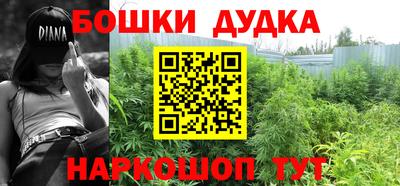 стафф Новокубанск