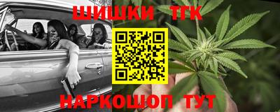 прущие грибы Новозыбков