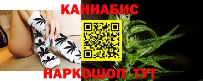 прущие грибы Новозыбков