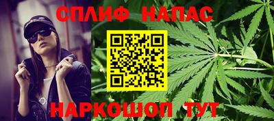 прущие грибы Новозыбков