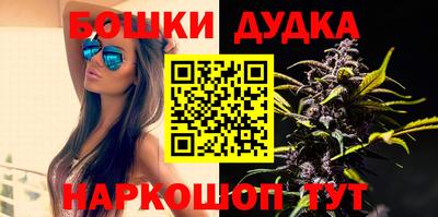 прущие грибы Новозыбков
