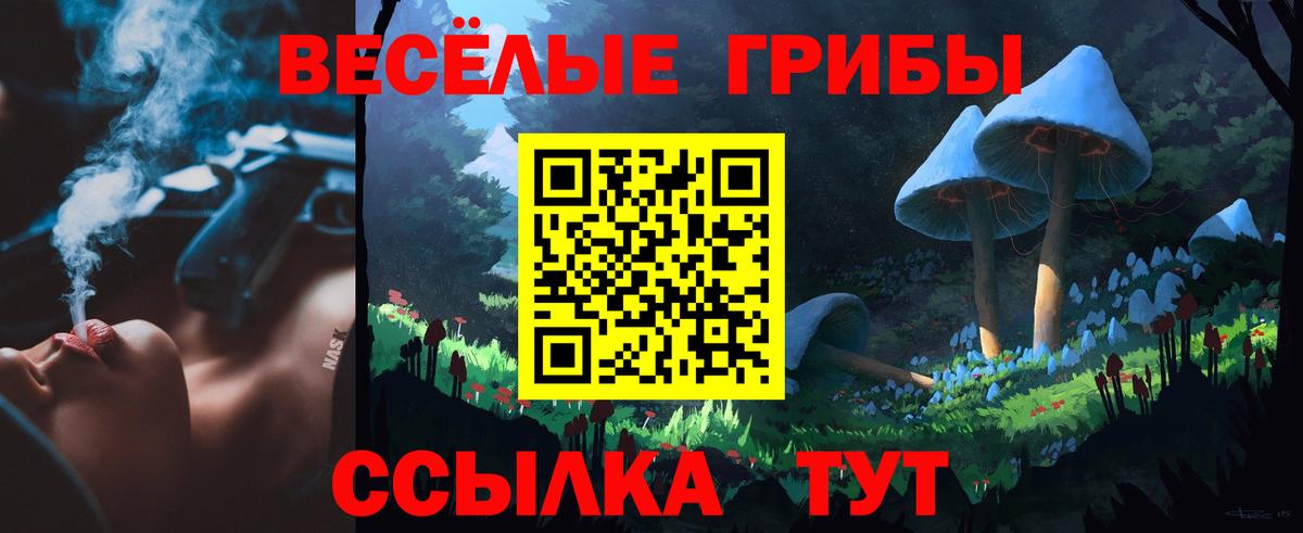 Рубцовск  Псилоцибиновые грибы Cubensis  Галлюциногенные грибы мицелий  Вход с VPN 